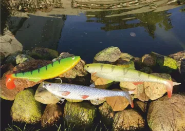 Quantum Yolo  REAL-TOUCH PERCH 30cm 122g - Pike Shad